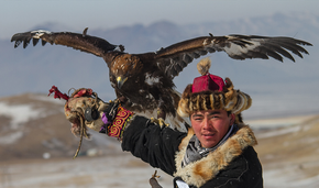 eagle_hunting_mongolia